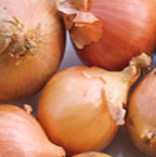 Organic Onions